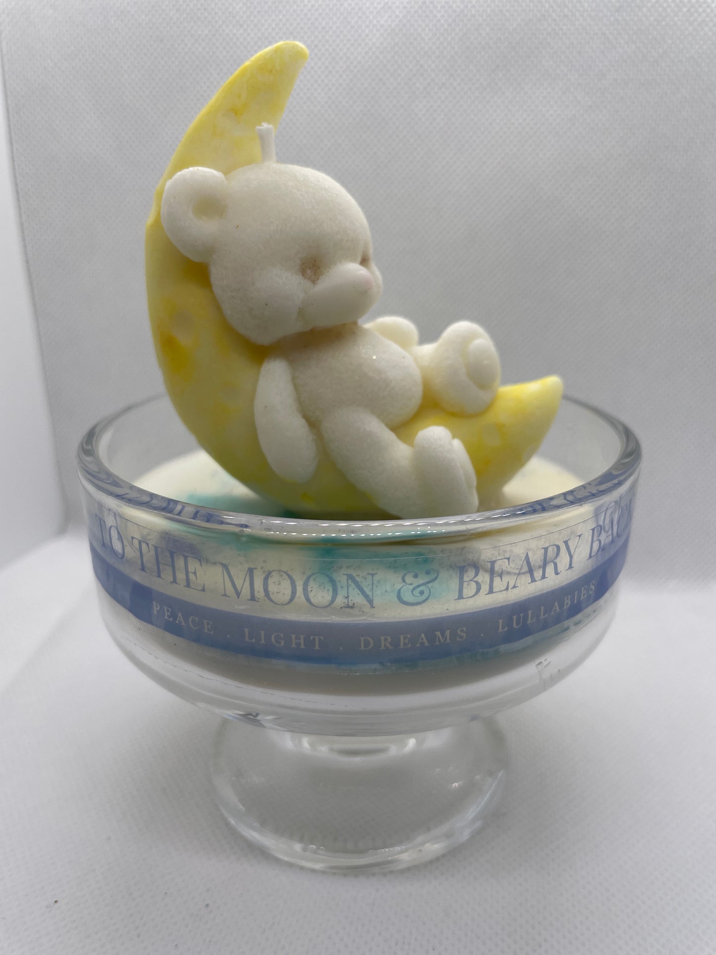 To the Moon and Beary Back -