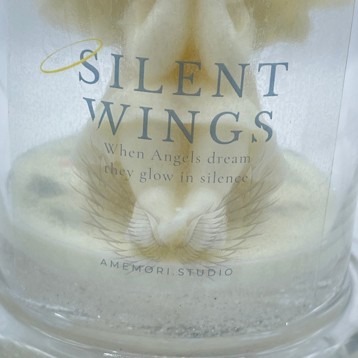 Silent Wings